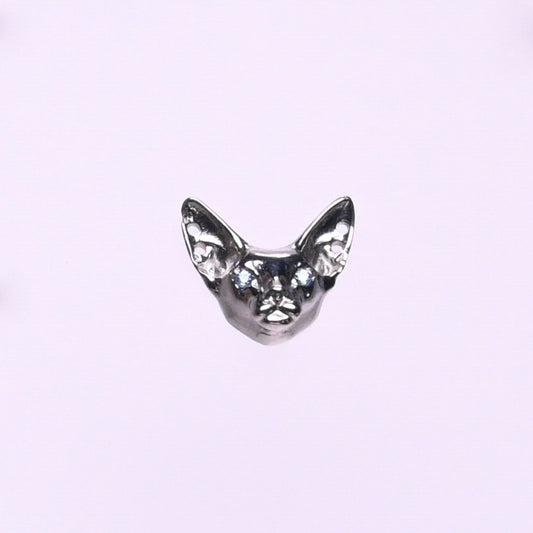 Titanium Earrings