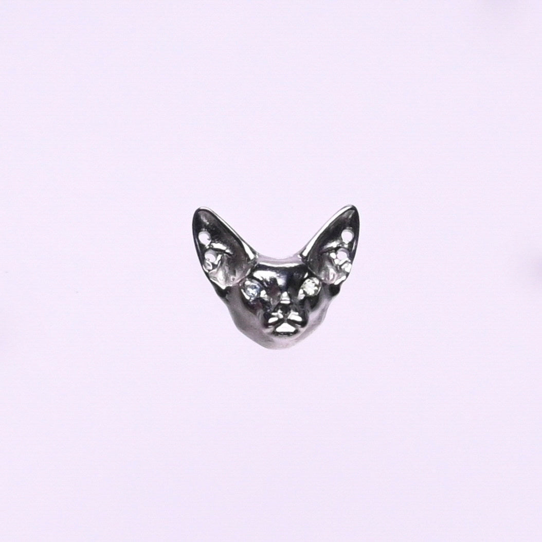 Titanium Earrings