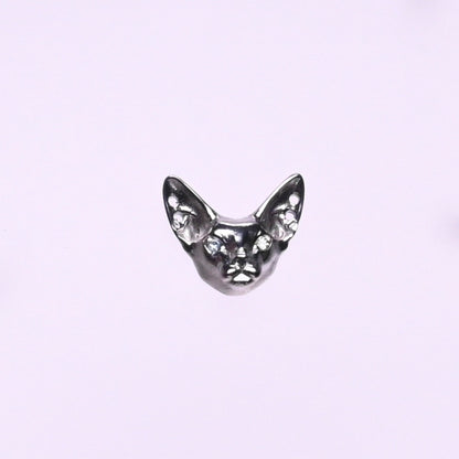 Titanium Earrings