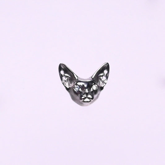 Titanium Earrings