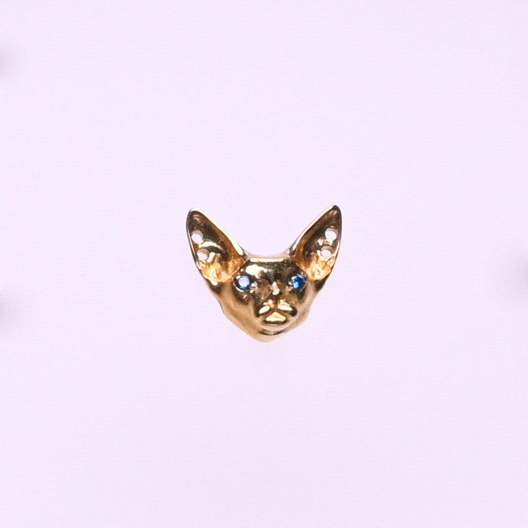 Titanium Earrings