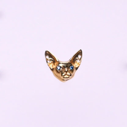 Titanium Earrings