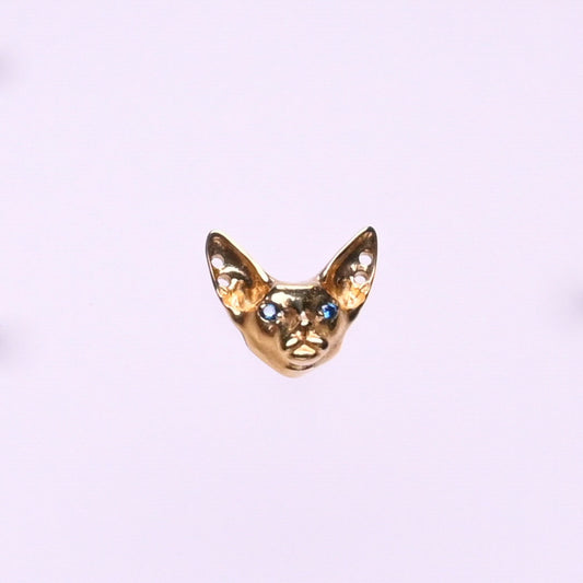 Titanium Earrings