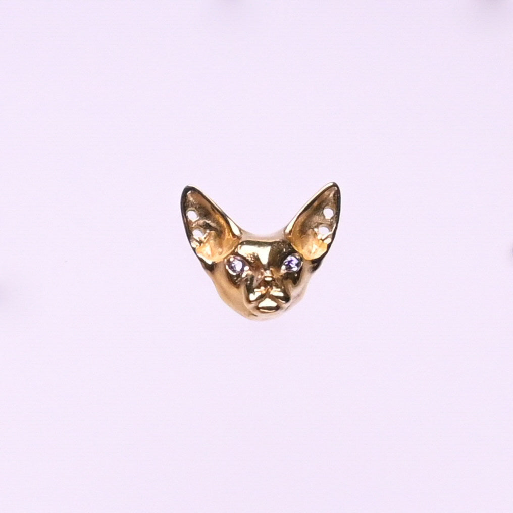 Titanium Earrings