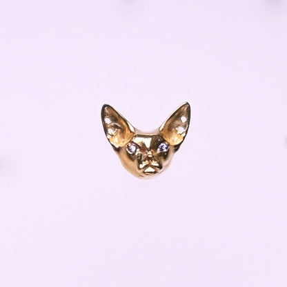 Titanium Earrings