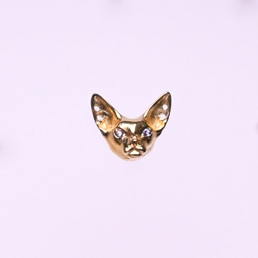 Titanium Earrings