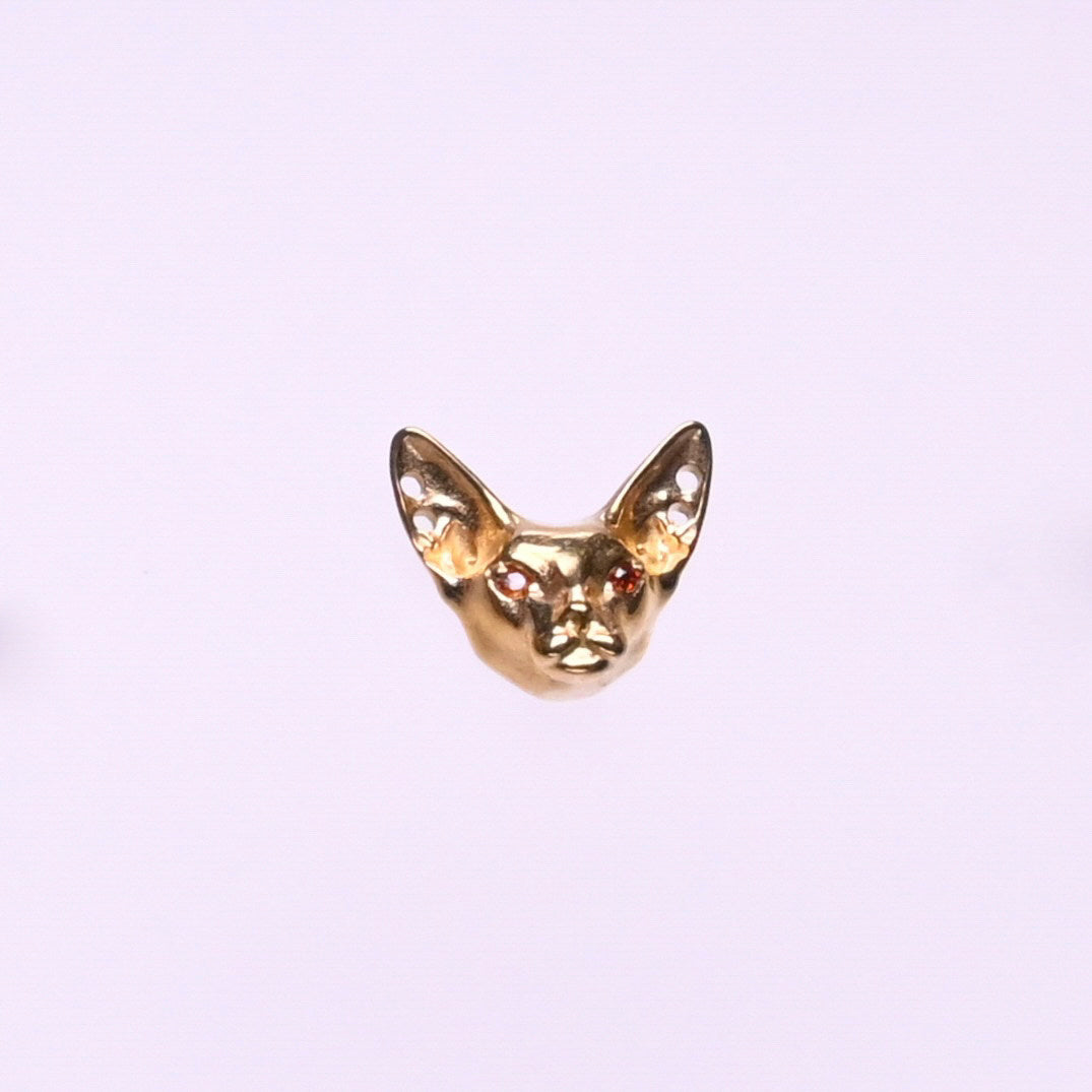 Titanium Earrings