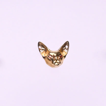 Titanium Earrings