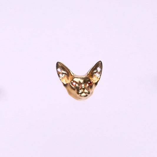 Titanium Earrings