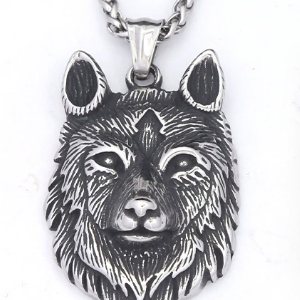 Titanium Steel Necklace