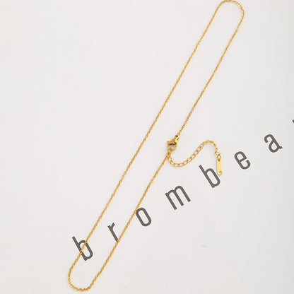 Titanium steel necklace