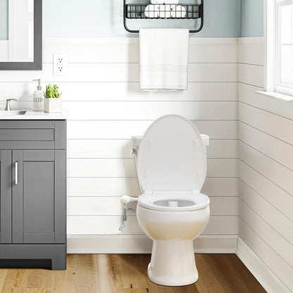 toilet bidet