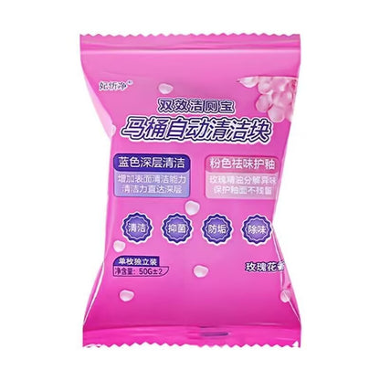 Toilet Cleaner Block