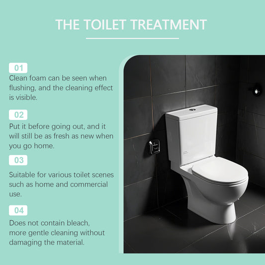 Toilet Cleaner
