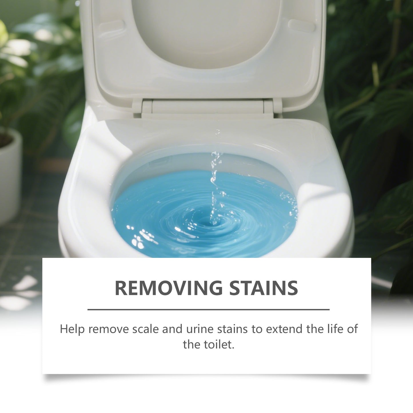 Toilet Cleaner