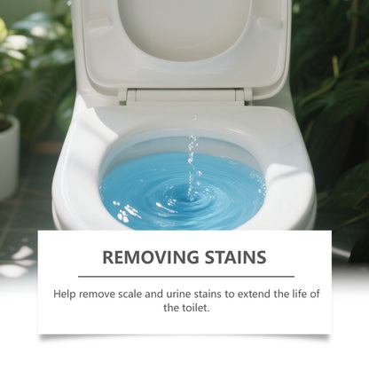 Toilet Cleaner