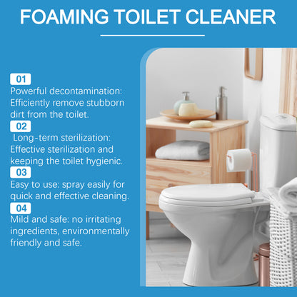 Toilet Cleaning Powder