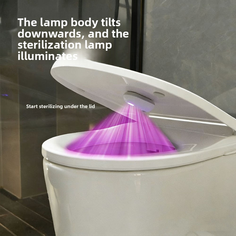 Toilet disinfection lamp
