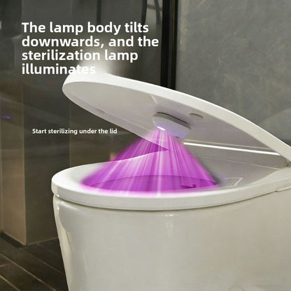 Toilet disinfection lamp