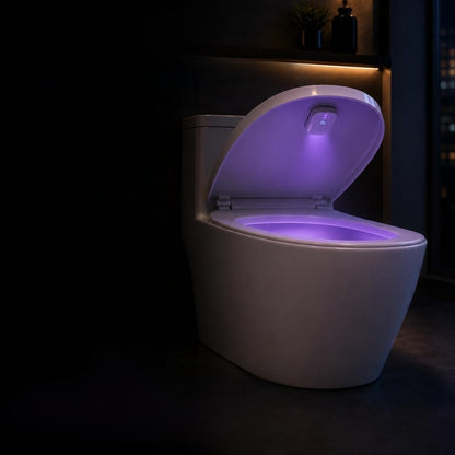 Toilet disinfection lamp