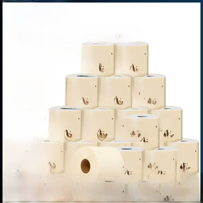 Toilet Paper Rolls