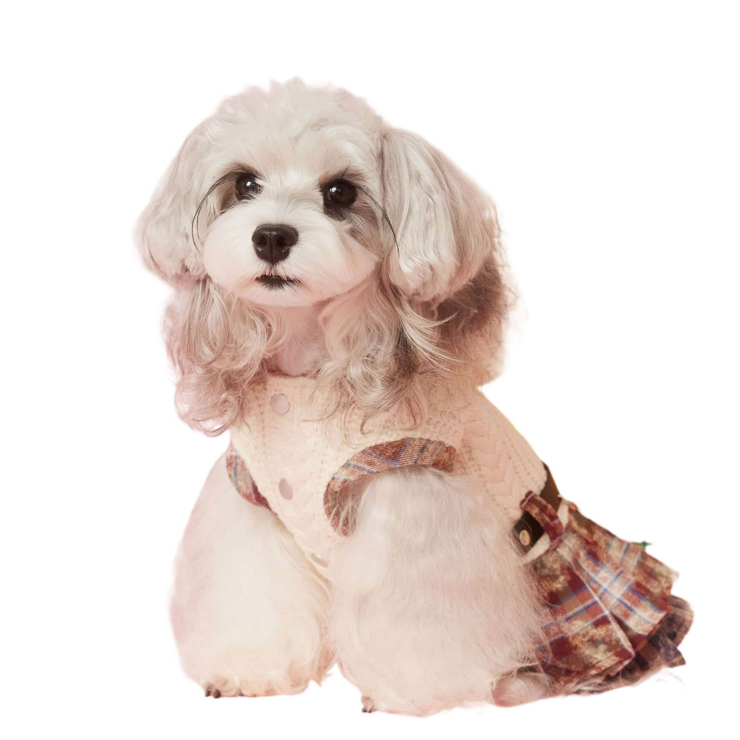 Tony Bear Dog Clothes Autumn and Winter Sleeveless Maillard Plaid Patchwork Sweet Schnauzer Bichon Teddy Dress