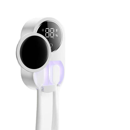 Toothbrush disinfection box