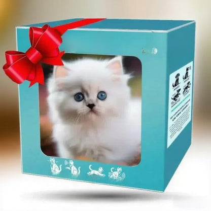 Toy dog simulation