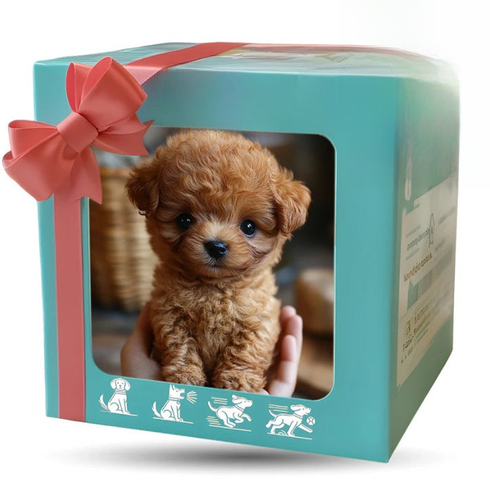 Toy dog simulation