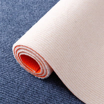 TPE carpet floor MATS