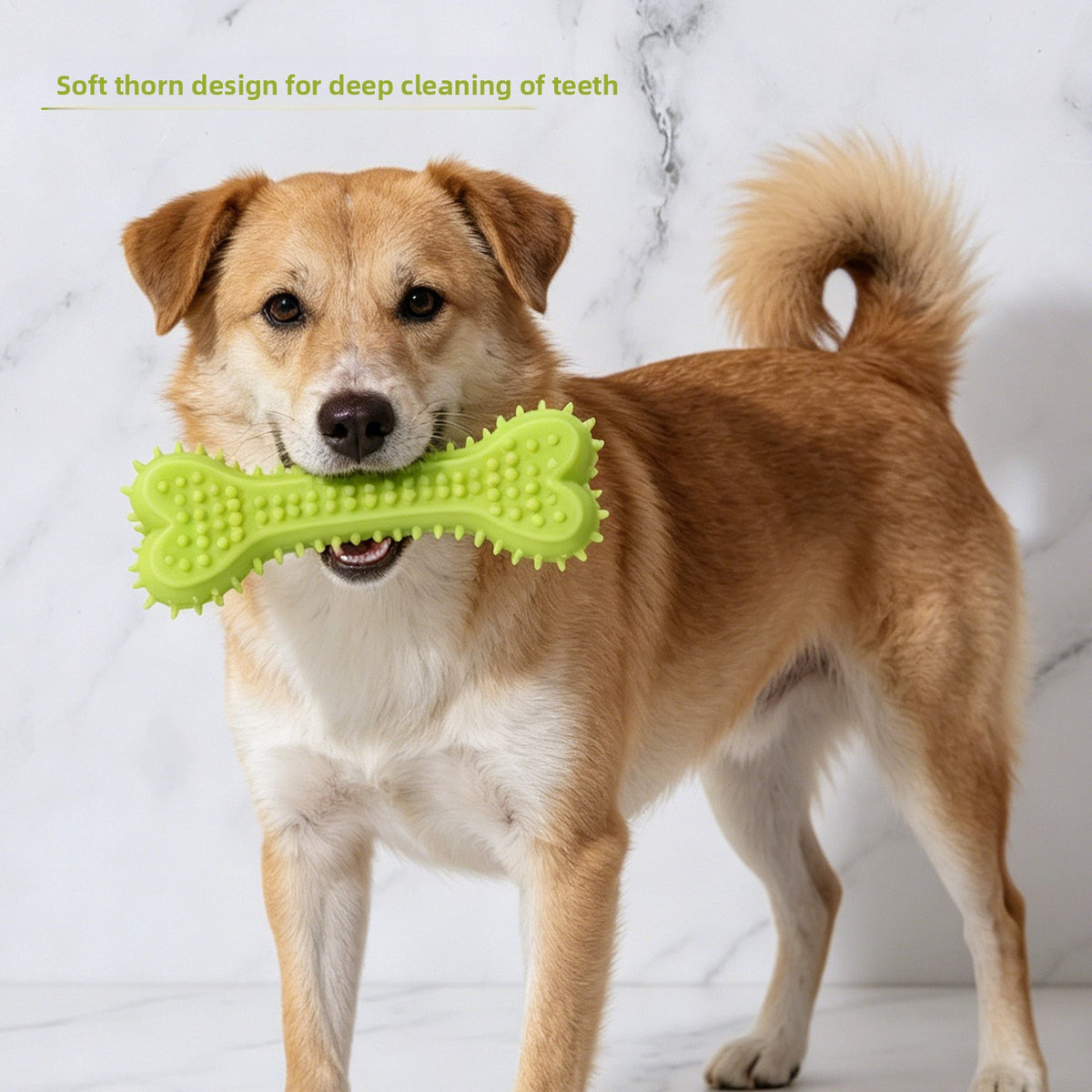 TPR Dental Chew Sticks for Dogs and Cats