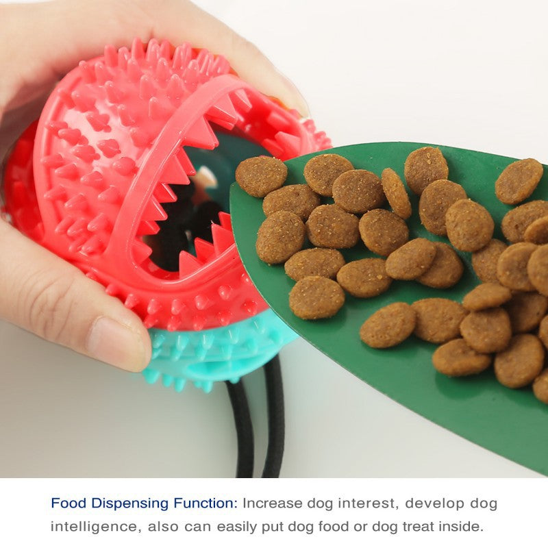 TPR Dog Chew Toy