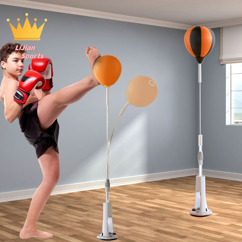 Training boxing target