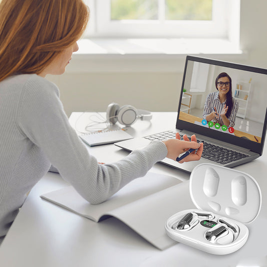 translator earbuds