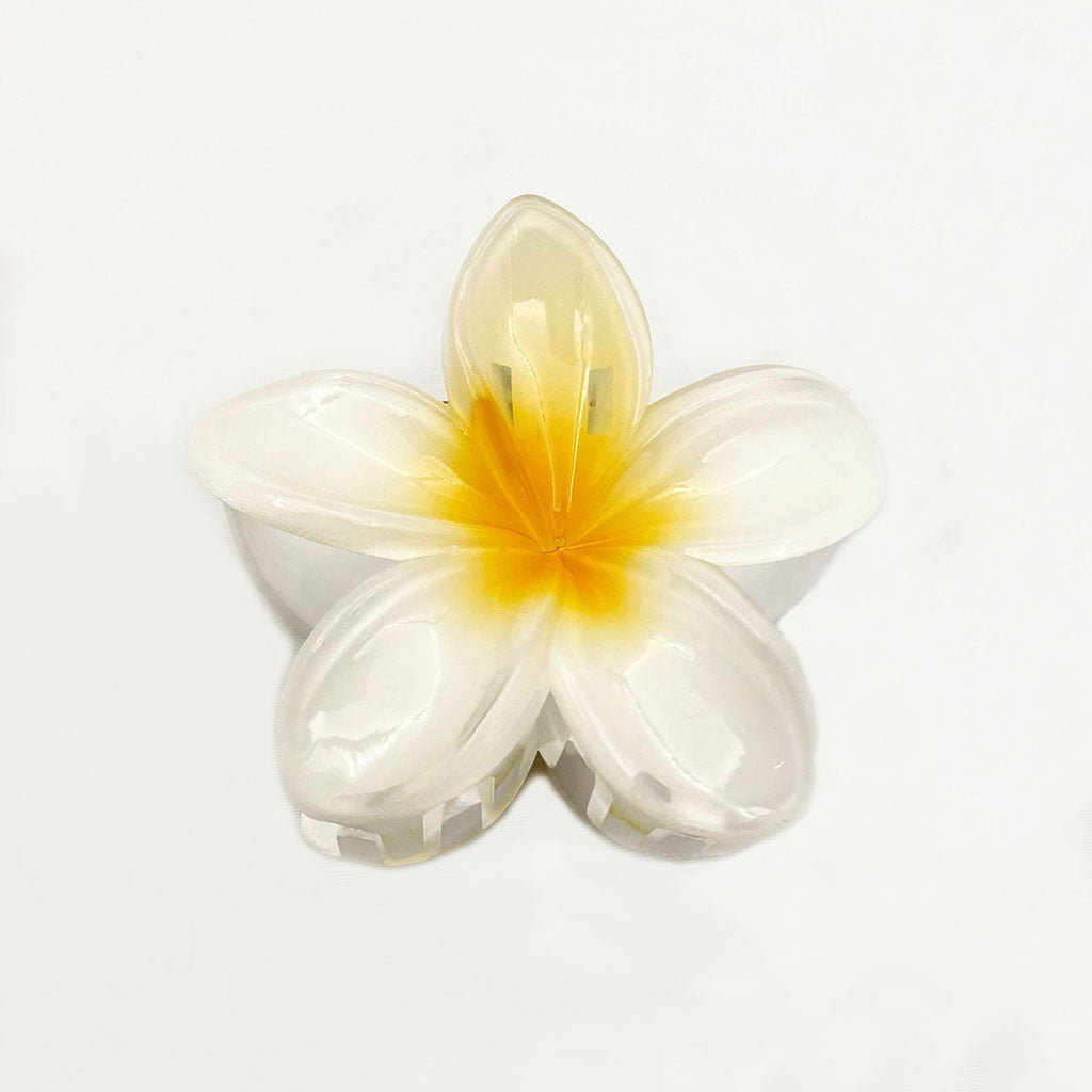 Transparent Gradient Color Egg Flower Hairpin