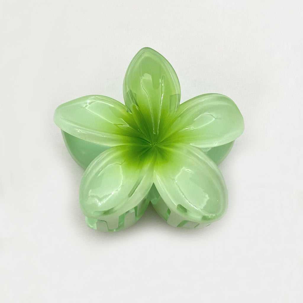 Transparent Gradient Color Egg Flower Hairpin
