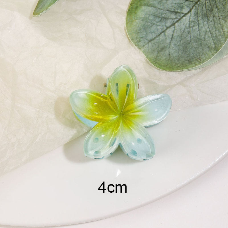 Transparent Gradient Color Egg Flower Hairpin