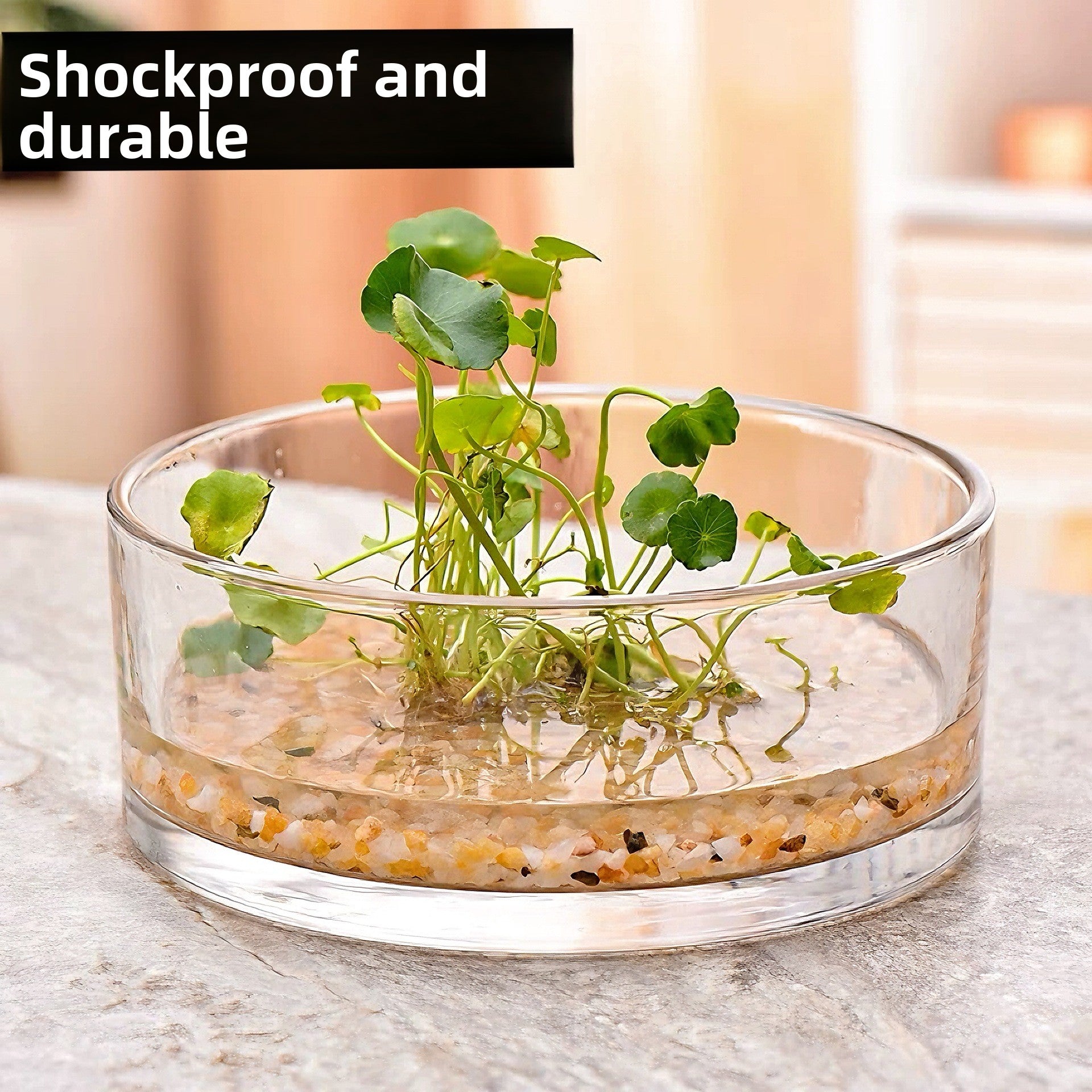 Transparent Hydroponic Flower Vessel