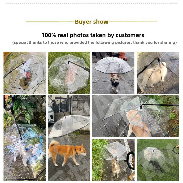 Transparent pet umbrella