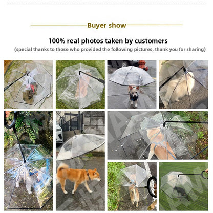 Transparent pet umbrella