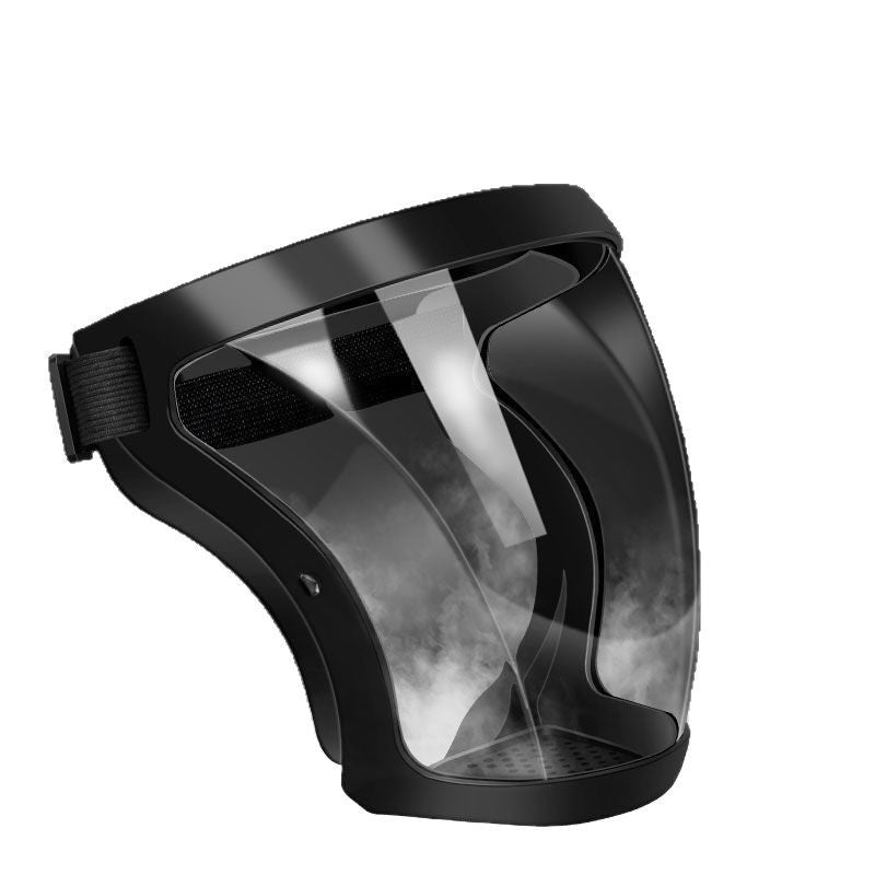 Transparent Protective Face Mask