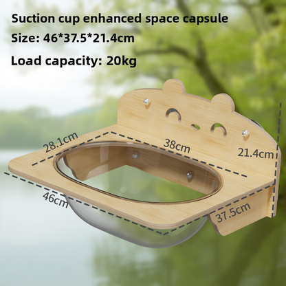 Transparent Suction Cup Cat Bed with Climbing Frame