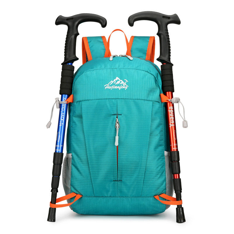 Travel Backpack