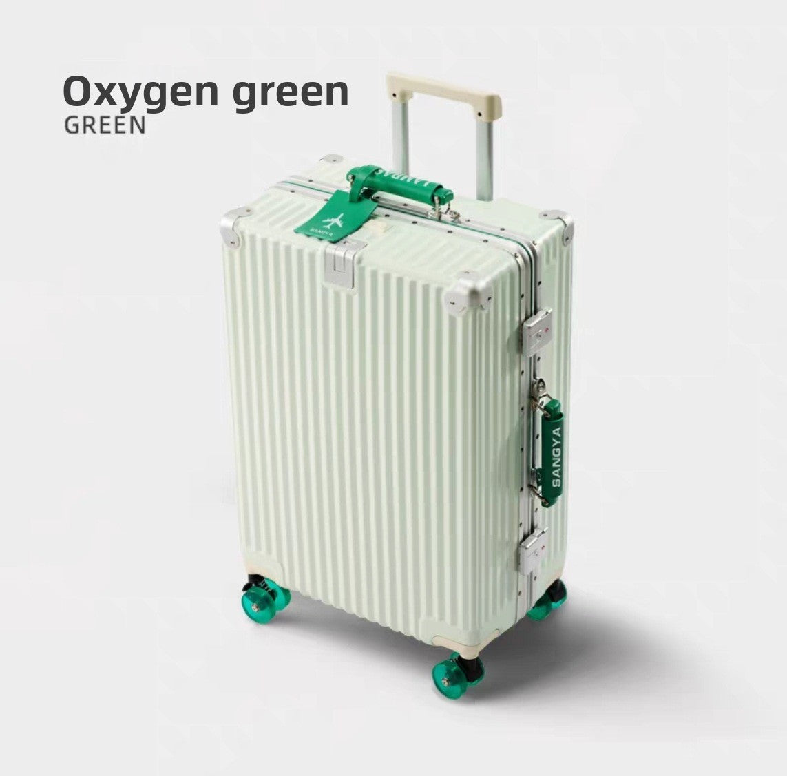 Travel Luggage