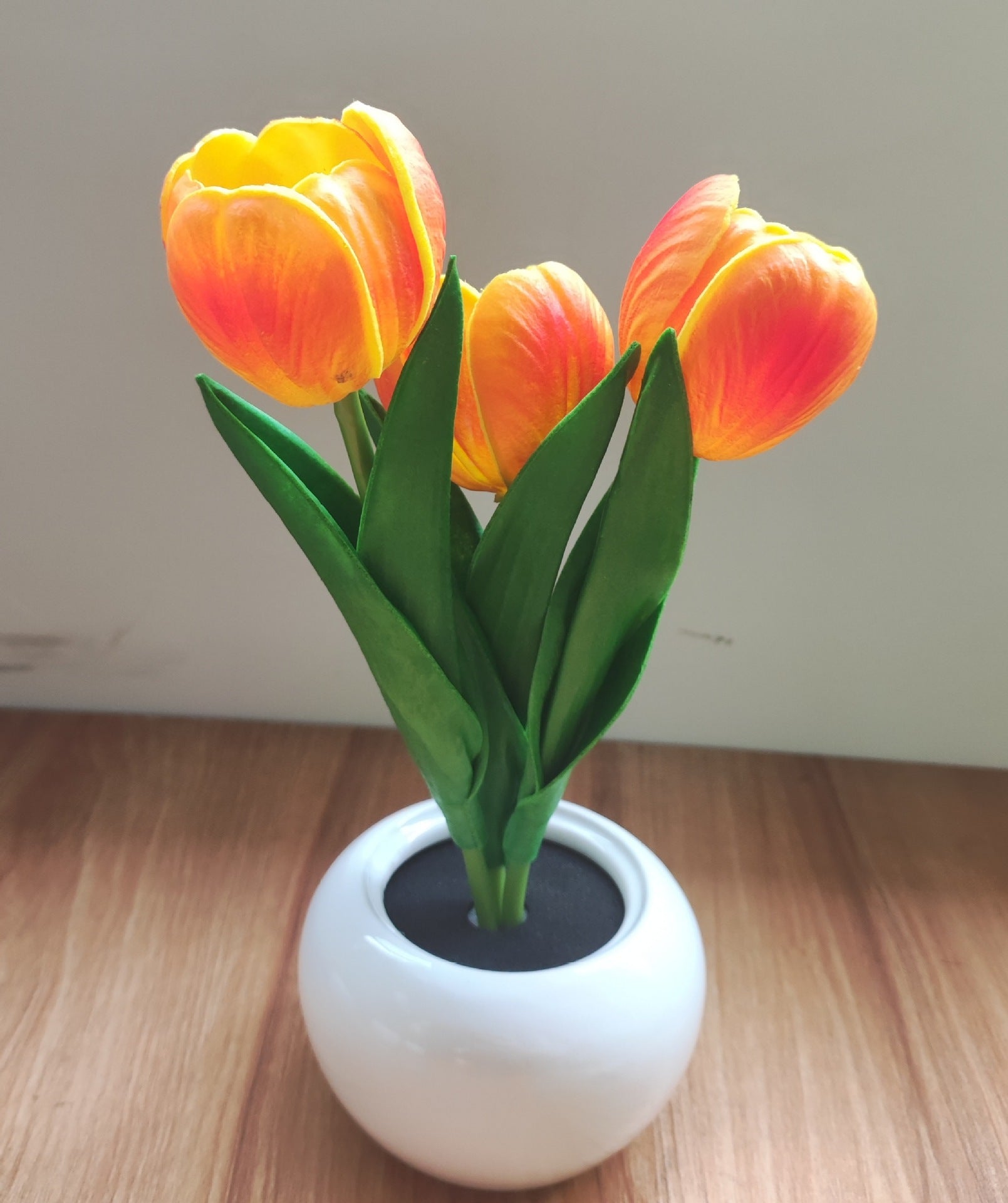 Tulip Night Light
