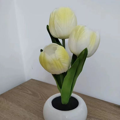 Tulip Night Light
