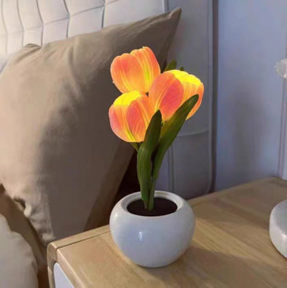 Tulip Night Light