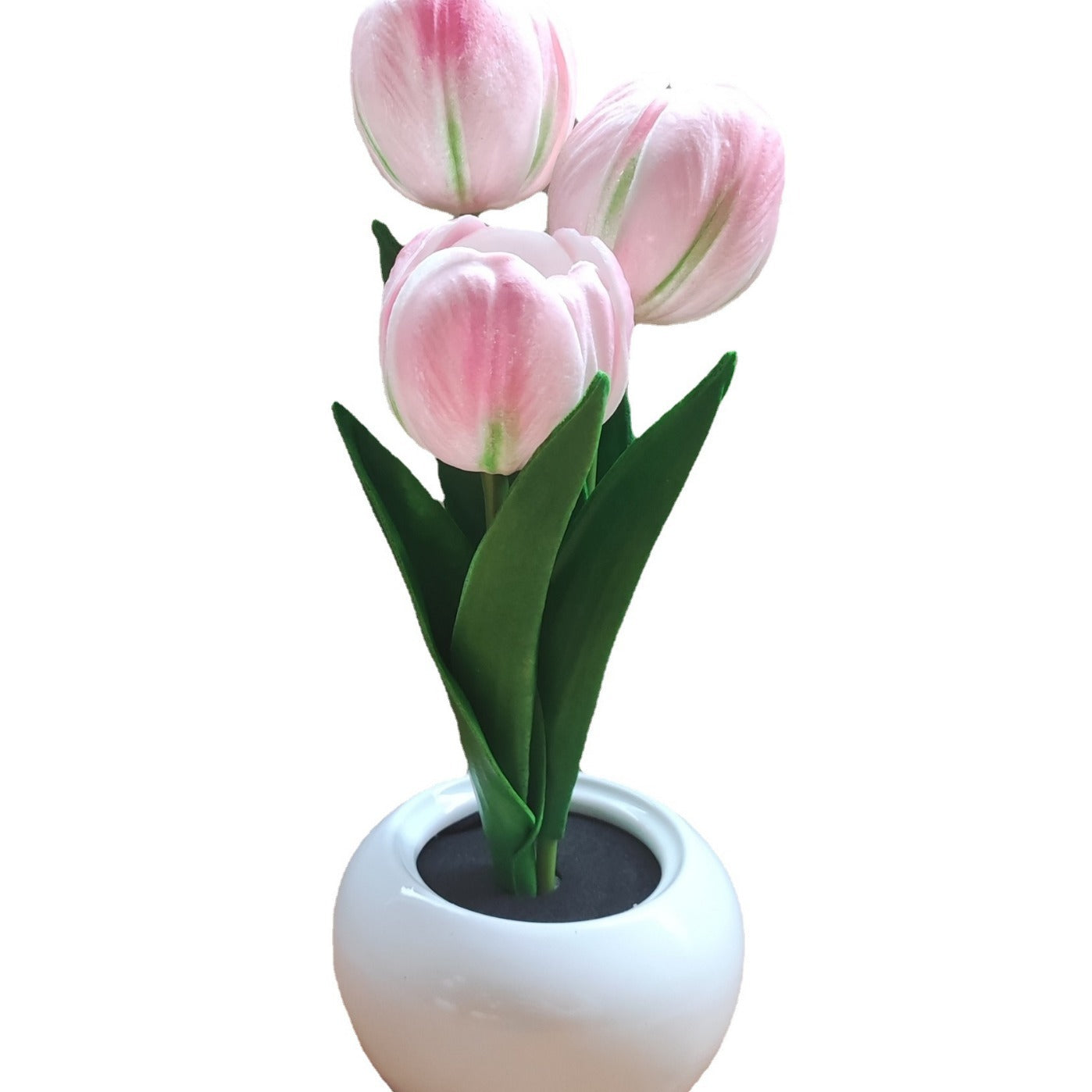 Tulip Night Light