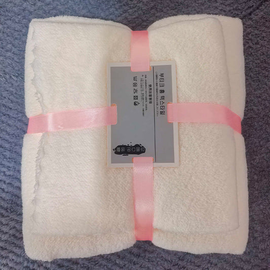 Two-Piece Coral Fleece Towel and Bath Towel Set