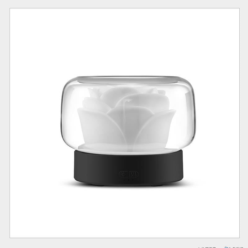 Ultrasonic Aromatherapy Machine